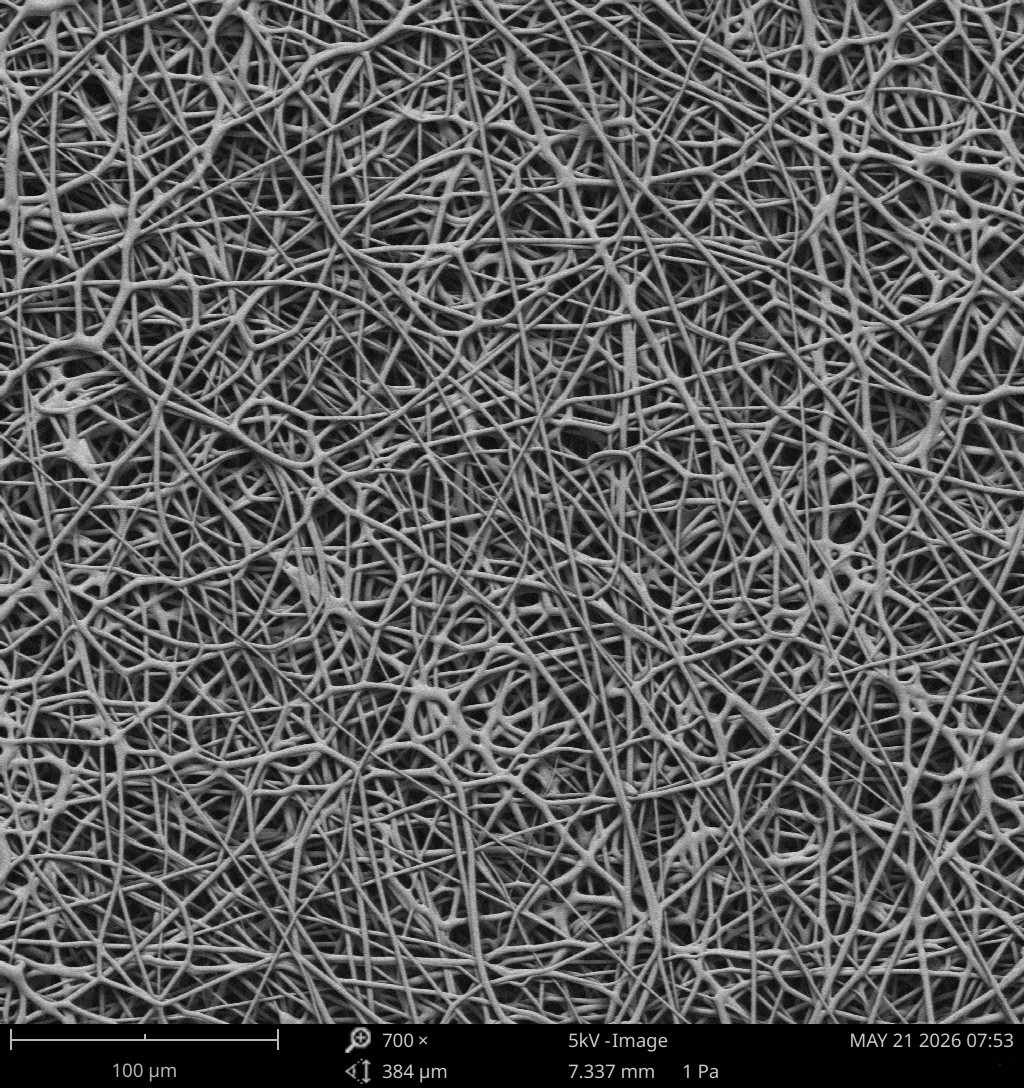 Scanning electron microscope image of the Amynas electrospun nanofiber mesh, showing an open, interconnected fibrous structure that mimics native extracellular matrix
